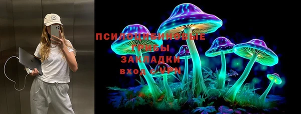 спайс Алзамай
