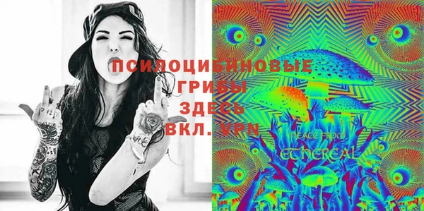 меф Арсеньев