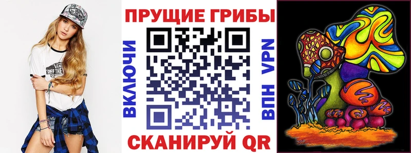 Галлюциногенные грибы Psilocybine cubensis  Малоархангельск 